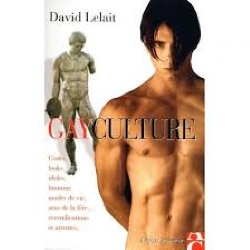 Gay Culture  David Lelait