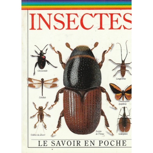 Insectes  Laurence Mound  Steve Brooks