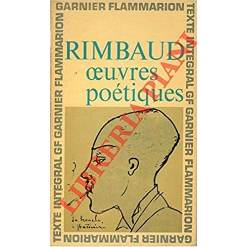 Rimbaud oeuvres poétique Michel Dédaudin